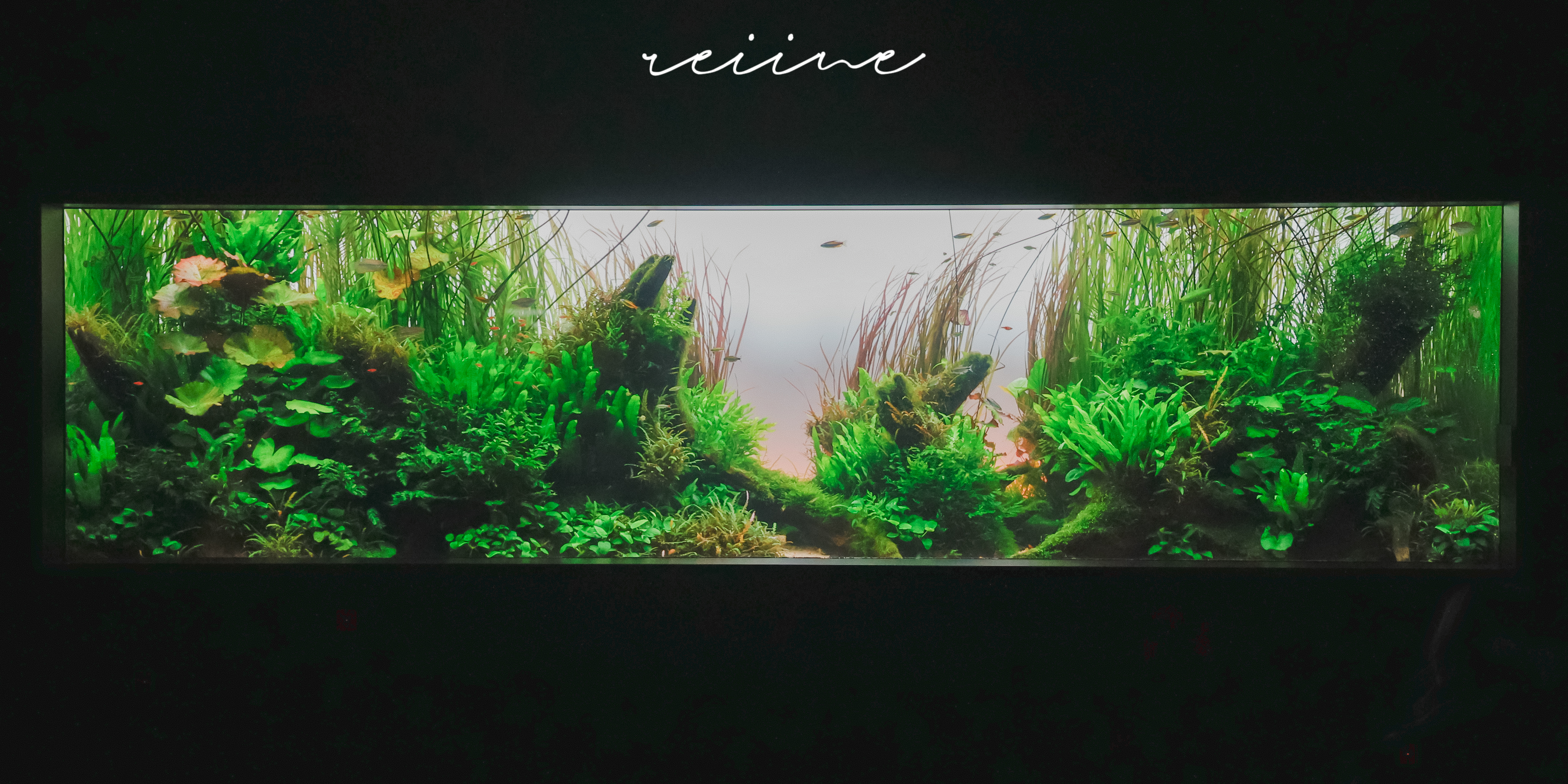 home-banner-background