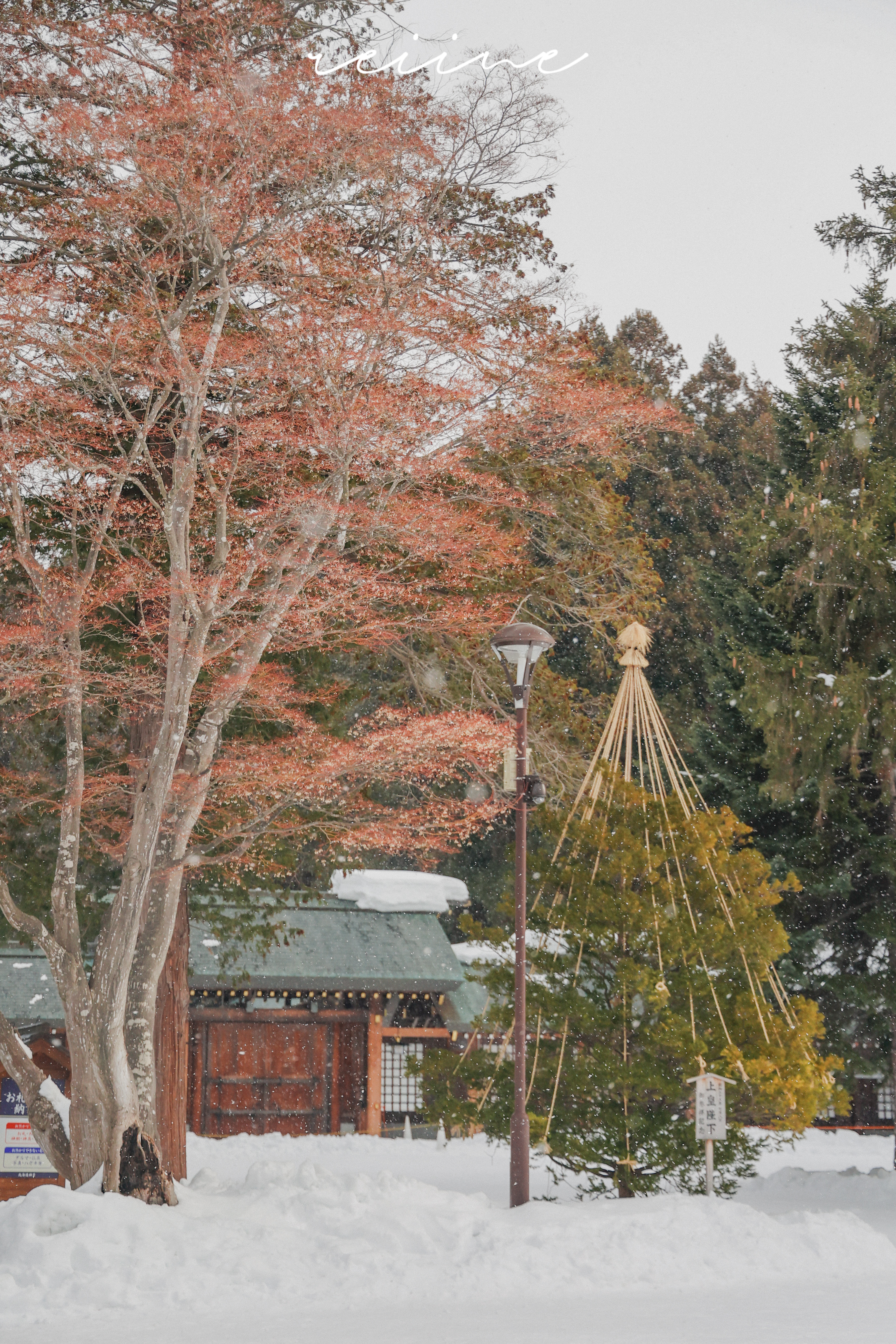 Sapporo photos 12