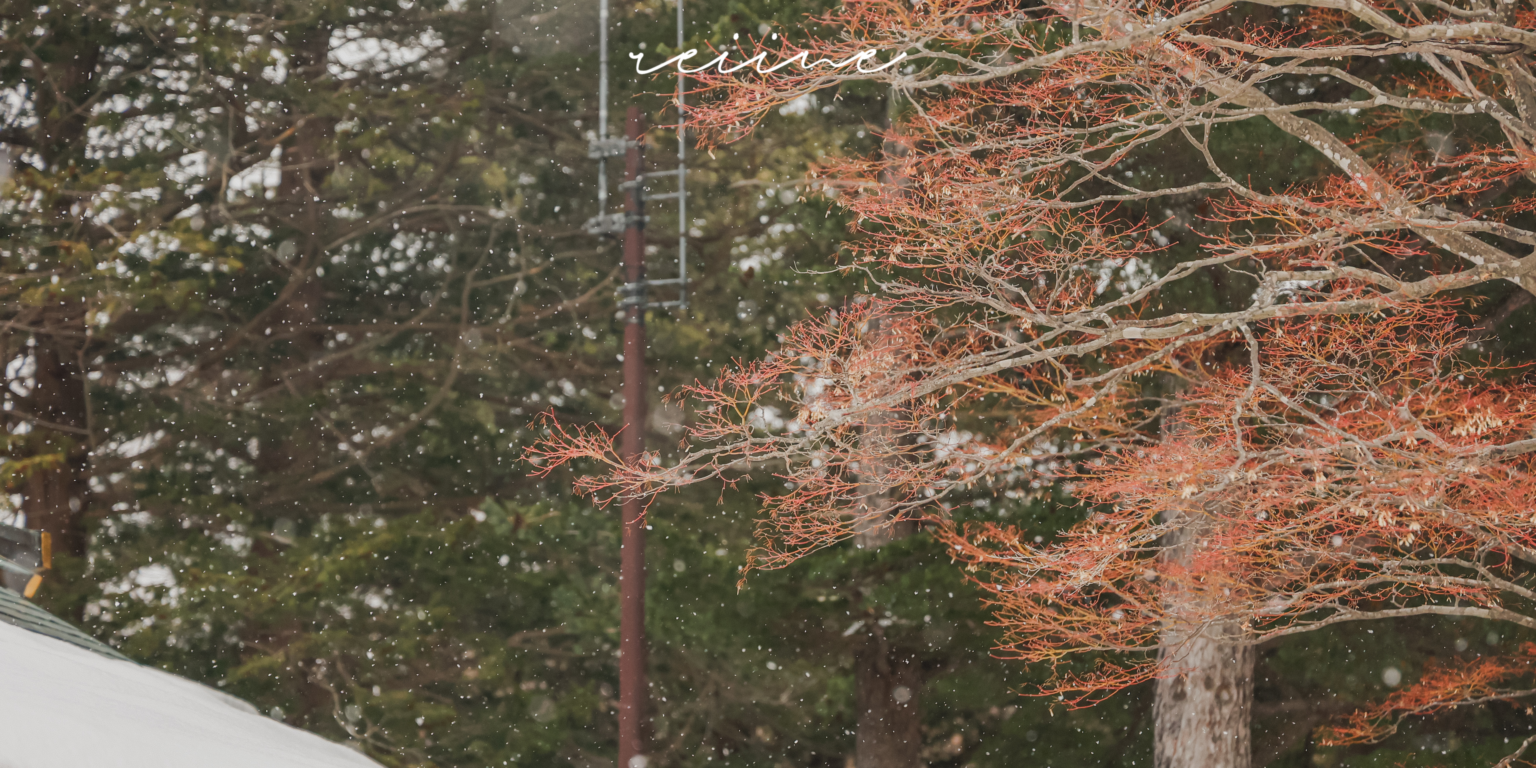 Sapporo photos 13